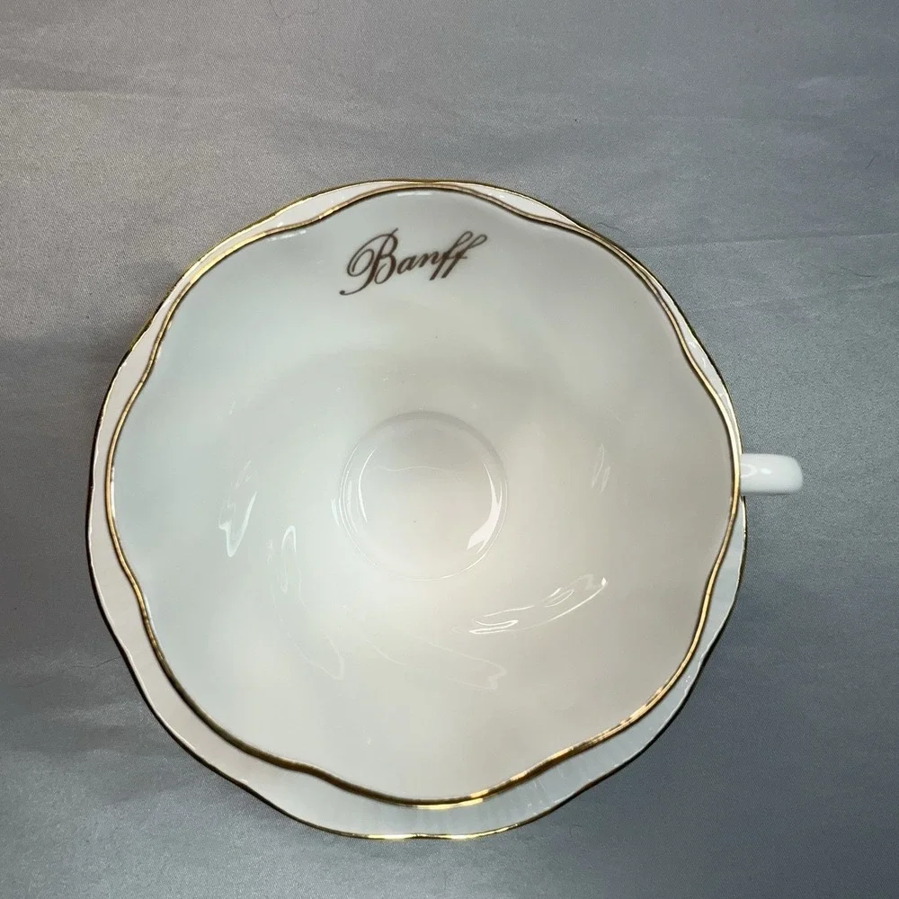 Queen's‎ Prairie Rose Tea Cup and Saucer Banff Alberta England Bone China
